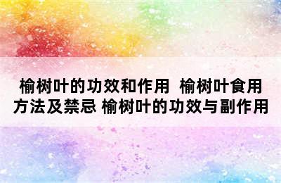 榆树叶的功效和作用  榆树叶食用方法及禁忌 榆树叶的功效与副作用